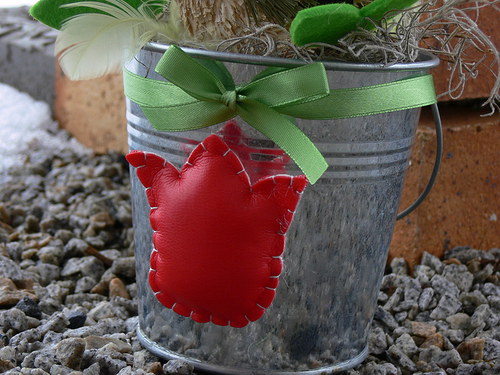 Jaro " Tulipánová" — foto 3