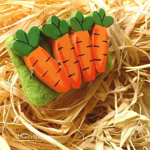 Pro vegetariánku ... - brož — foto 3