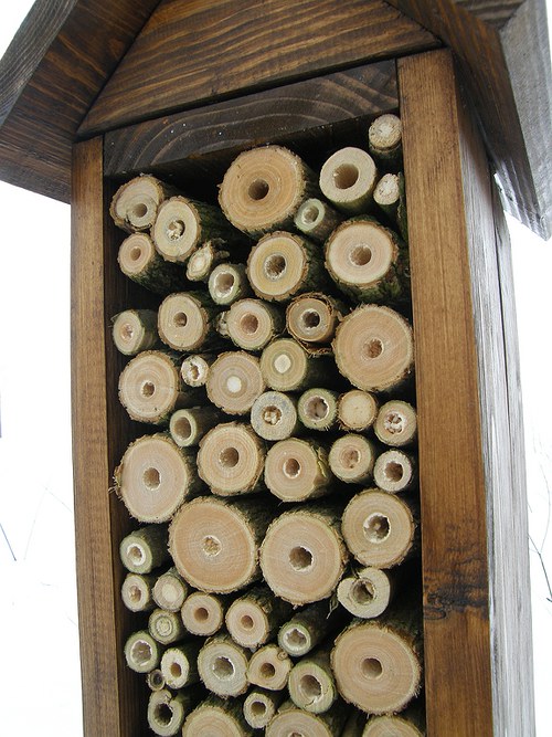 Hmyzí domeček (2) — foto 2
