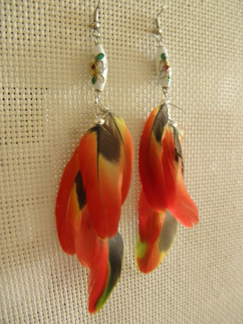 Papuana red — foto 3