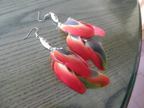 Papuana red — foto 4