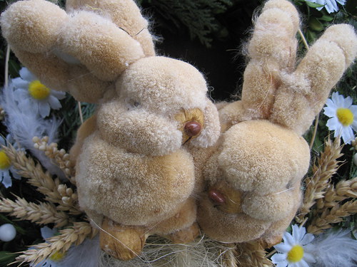 Jarní něžnosti — foto 2