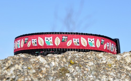 Obojek se sovičkami - červený 25 - 35 cm — foto 3