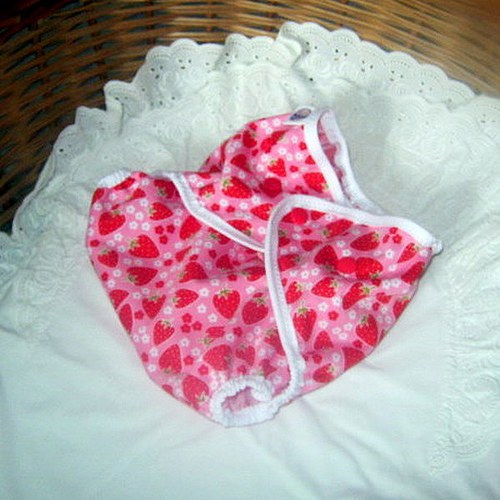 Svrchňáčky jednovelikostní — foto 2