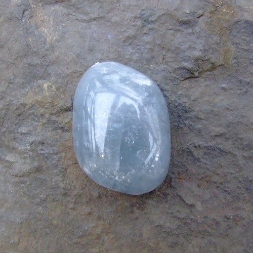 Celestin, kabošon č .789 — foto 2