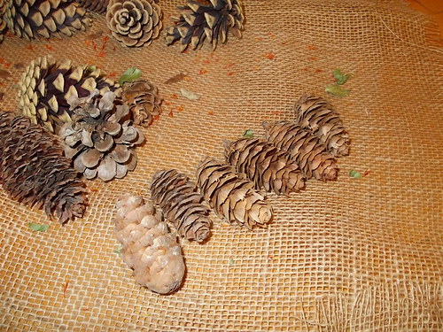 Šiškové zákoutí — foto 6