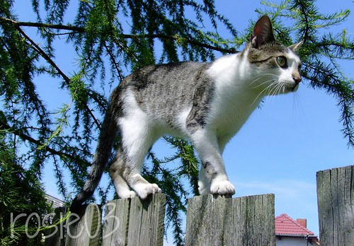 Na průzkumu — foto 2
