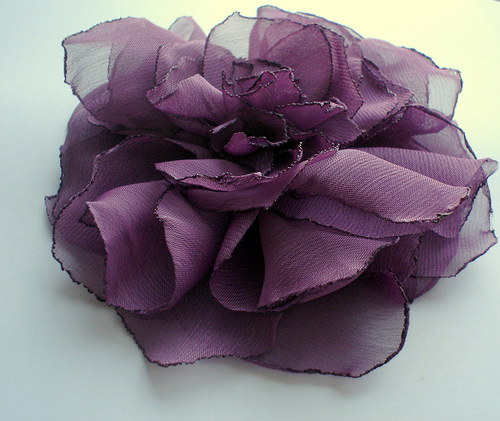 Fialková rozkvetlá.. — foto 2