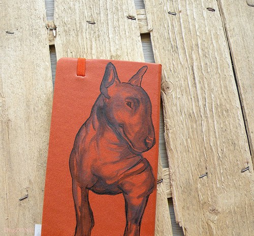 Bullie ... notes — foto 2