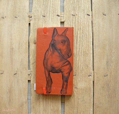 Bullie ... notes — foto 4
