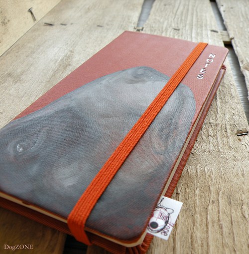 Bullie ... notes — foto 6