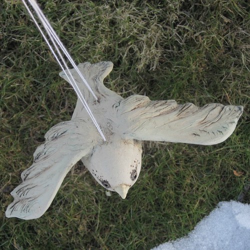 Ptáček Sokolík — foto 3