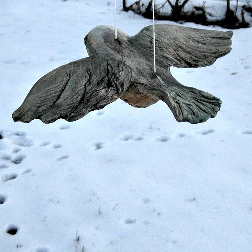Ptáček Jasný Sokolík — foto 4