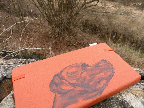 Staffie ... notes 50% sleva — foto 2