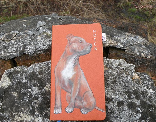 Staffie ... notes 50% sleva — foto 3