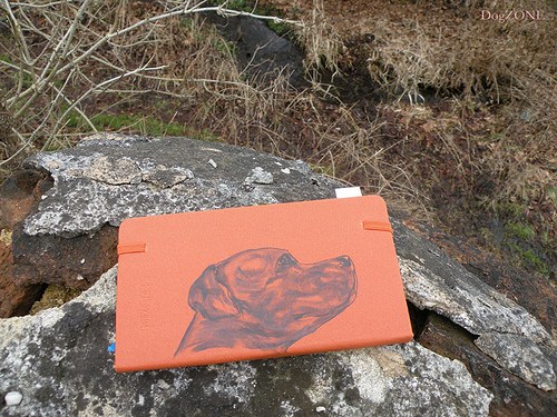 Staffie ... notes 50% sleva — foto 4