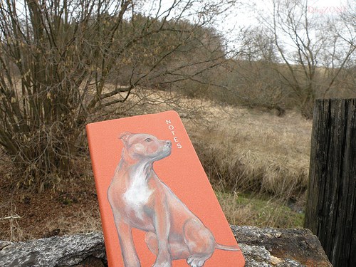 Staffie ... notes 50% sleva — foto 5