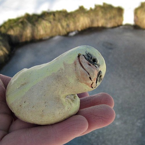 Kachňátko trochu našišato — foto 2