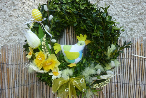 Buxus — foto 2