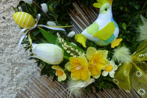 Buxus — foto 3