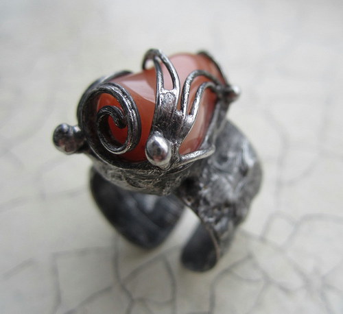 Marhuľková pochúťka — foto 5