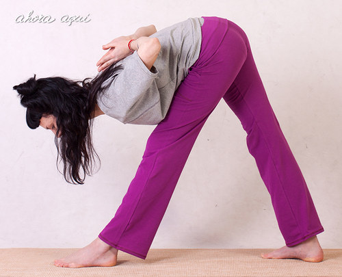 Ranvitha Pants Purple — foto 2