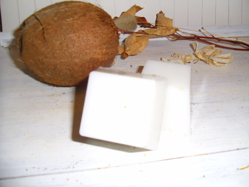 ...tuhý šampon, kokos... — foto 2