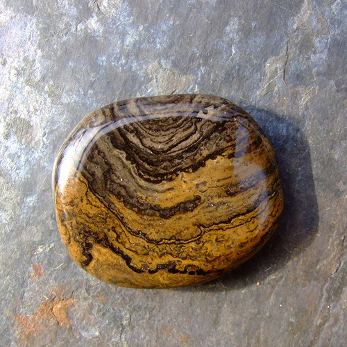 Stromatolit — foto 2