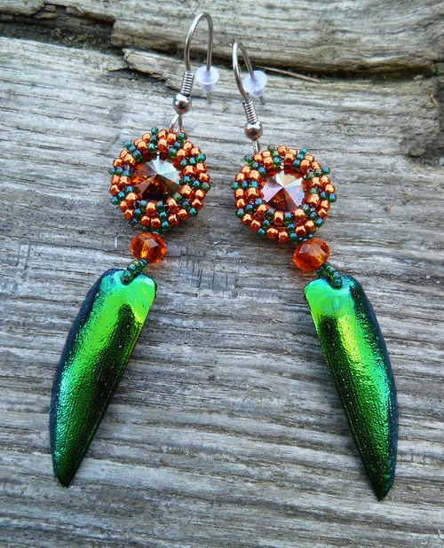 Metallic beetle — foto 2