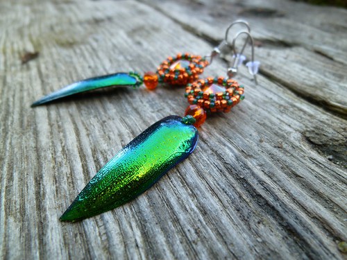 Metallic beetle — foto 3