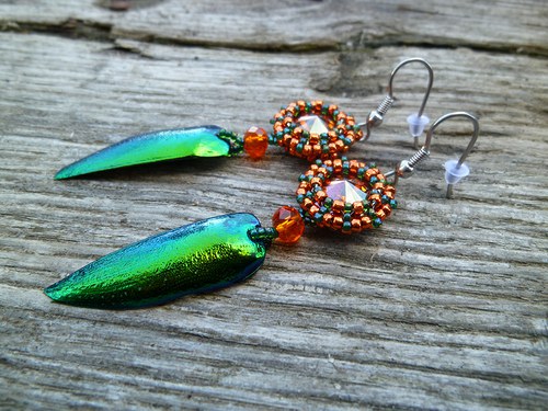 Metallic beetle — foto 4