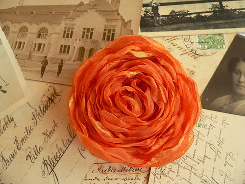 Where the wild roses grow — foto 2