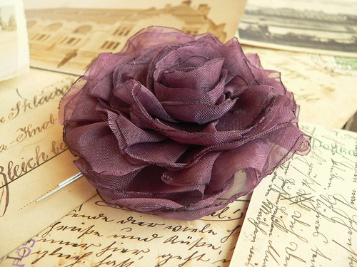 Where the wild roses grow — foto 2