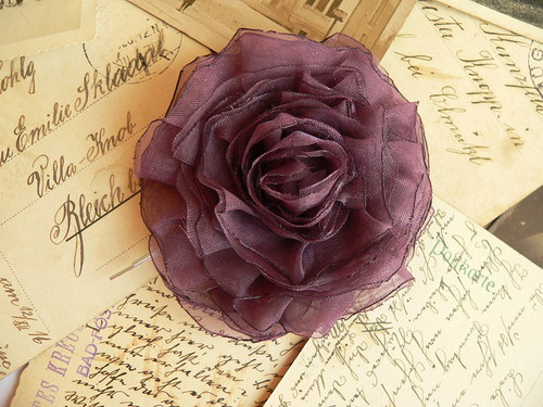 Where the wild roses grow — foto 3