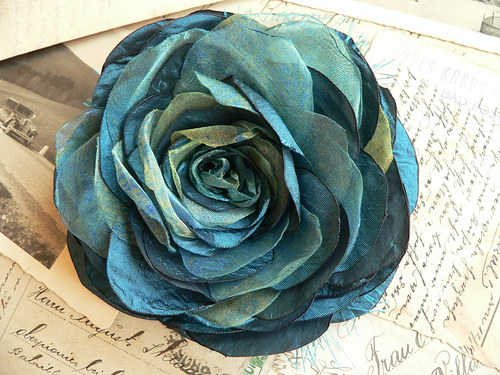 Where the wild roses grow — foto 2