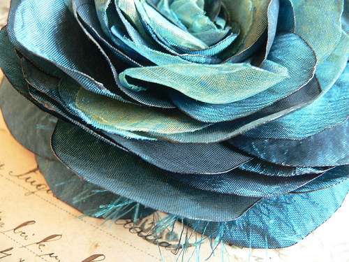 Where the wild roses grow — foto 3