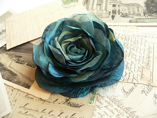 Where the wild roses grow — foto 4