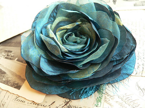 Where the wild roses grow — foto 5