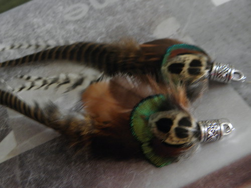 Pheasant — foto 2