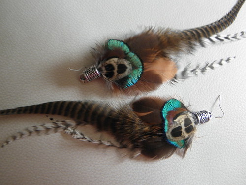 Pheasant — foto 3
