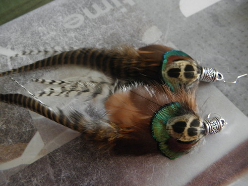 Pheasant — foto 4