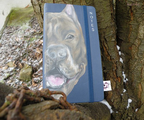Pittie ... notes — foto 3