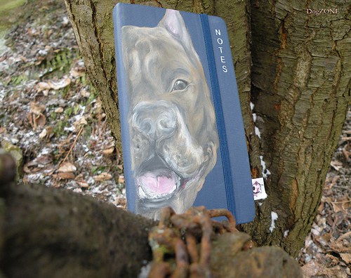 Pittie ... notes — foto 5