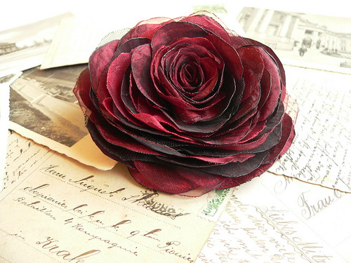 Where the wild roses grow — foto 2