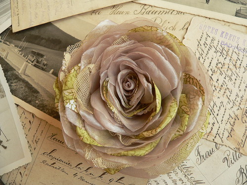Where the wild roses grow — foto 2