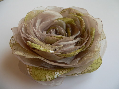 Where the wild roses grow — foto 4