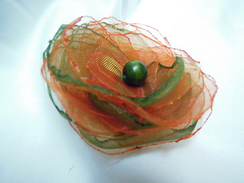 Mandarinka maskovaná ... — foto 2