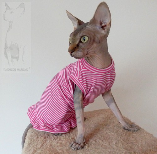 Tričko pro Sphynx — foto 4