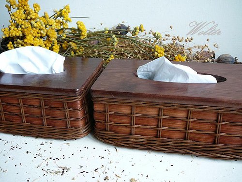 Kapesníkovník hnědý pásek + hnědé víko — foto 3