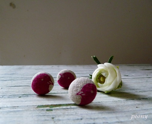 Doouška......nightingale and the rose — foto 2